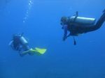 Hawaii Scuba divng 33