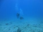 Hawaii Scuba divng 37