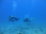 Hawaii Scuba divng 38