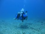 Hawaii Scuba divng 40