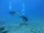 Hawaii Scuba divng 42