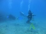 Hawaii Scuba divng 44