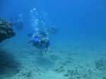 Hawaii Scuba divng 45