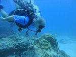 Hawaii Scuba divng 54