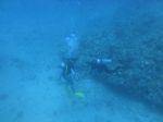 Hawaii Scuba divng 58