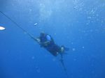 Hawaii Scuba divng 59