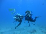 Hawaii Scuba divng 60