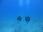 Hawaii Scuba divng 61