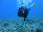 Hawaii Scuba divng 62