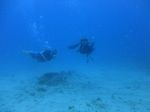 Hawaii Scuba divng 65