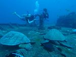 Hawaii Scuba divng 69