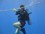 Hawaii Scuba divng 06