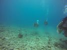 Hawaii Scuba divng 10