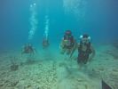 Hawaii Scuba divng 11