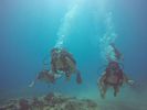 Hawaii Scuba divng 16
