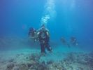 Hawaii Scuba divng 18