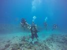 Hawaii Scuba divng 19
