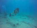Hawaii Scuba divng 20