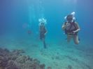 Hawaii Scuba divng 21