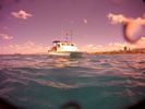 Hawaii Scuba divng 23
