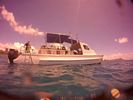 Hawaii Scuba divng 24