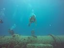Hawaii Scuba divng 28