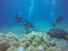Hawaii Scuba divng 32