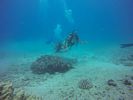 Hawaii Scuba divng 33