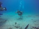 Hawaii Scuba divng 34