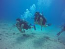 Hawaii Scuba divng 35