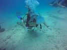 Hawaii Scuba divng 37