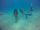 Hawaii Scuba divng 38