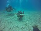 Hawaii Scuba divng 39