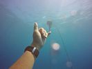 Hawaii Scuba divng 03