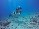 Hawaii Scuba divng 40