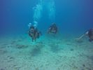 Hawaii Scuba divng 41