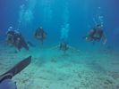 Hawaii Scuba divng 42