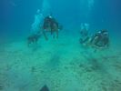Hawaii Scuba divng 43
