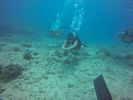 Hawaii Scuba divng 44