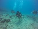 Hawaii Scuba divng 45