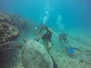 Hawaii Scuba divng 48