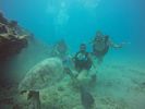 Hawaii Scuba divng 49