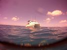 Hawaii Scuba divng 04