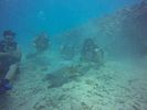 Hawaii Scuba divng 51
