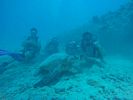 Hawaii Scuba divng 53