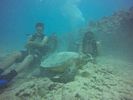 Hawaii Scuba divng 54