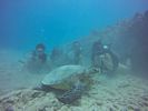 Hawaii Scuba divng 57
