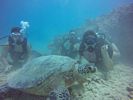 Hawaii Scuba divng 58