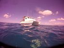 Hawaii Scuba divng 05