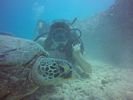 Hawaii Scuba divng 60